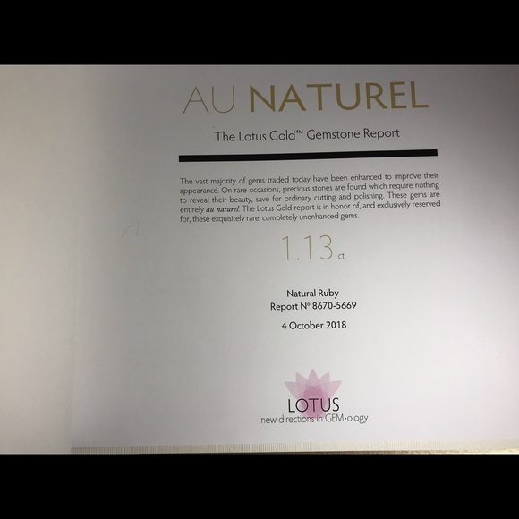 Mogok Burma Ruby by Kat Florence with appraisal - Picture 6 of 9